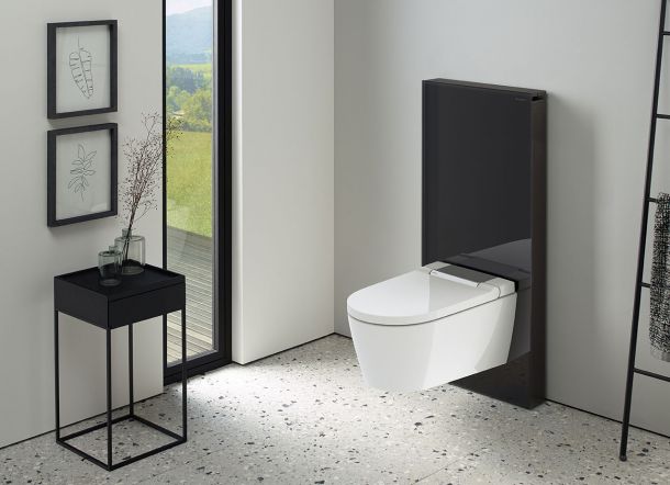 Geberit AquaClean Sela